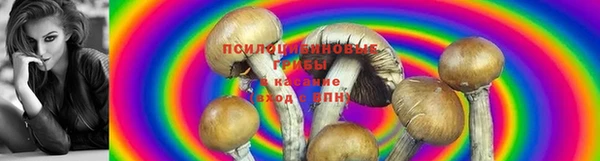 дистиллят марихуана Абаза