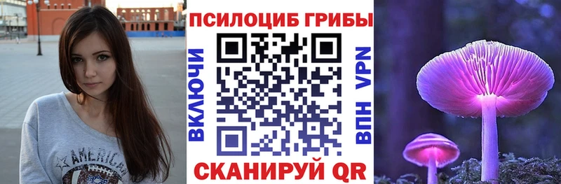 Псилоцибиновые грибы мицелий  Шали 